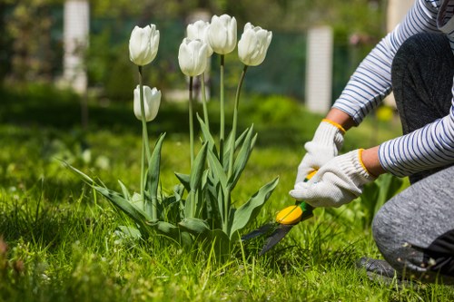 Professional tree pruning for mature gardens in Sanderstead