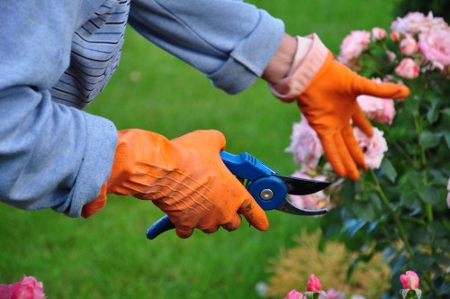 Local arborist carrying out careful pruning near a driveway