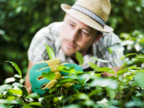 Supplier due diligence and modern slavery risk assessment
