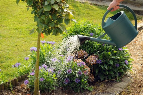 Tree pruning and canopy management in a residential garden