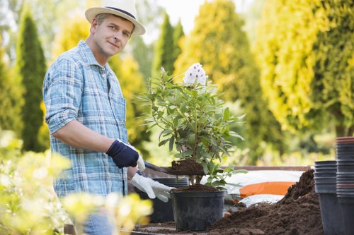 Complaint escalation and final review in tree surgery