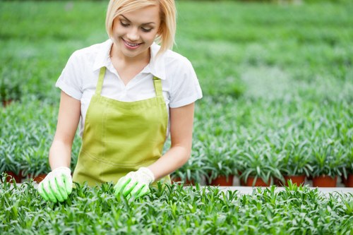 Recycling and sustainability practices in local tree surgery